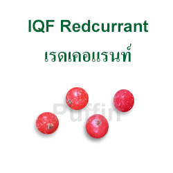 Redcurrant